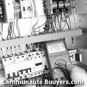 Logo T.S.E.G (Techni Service Electricité Générale)