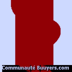 Logo Thouvenin Denis