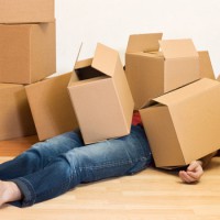 Logo Compagnie Déménagement à Paris 