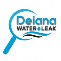 Logo Deiana Water Leak