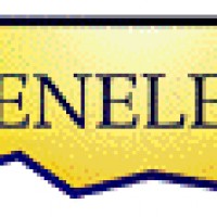 Logo Denelec 