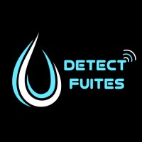 Logo DETECT FUITES