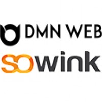 Logo Dmn Web Sowink