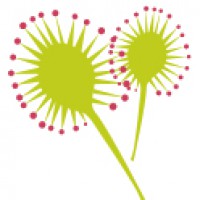 Logo Drosalys Agence Web