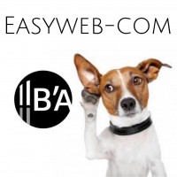 Logo Easyweb Agence De Communication 