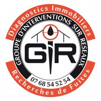 Logo Groupe Gir