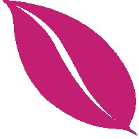 Logo Institut Beauté Nature