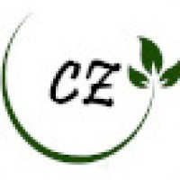 Logo Institut De Beauté Bio C'zennes