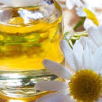 Logo Iris et Capucine