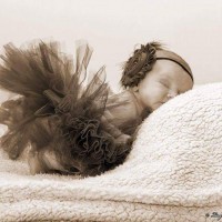 Logo La Photo D'un Jour