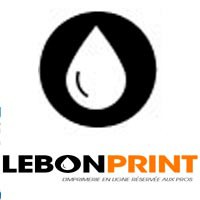 Logo Lebonprint Imprimerie 