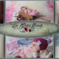Logo Les Petits Moments Studio