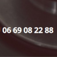 Logo Marl&egrave;ne Poulain