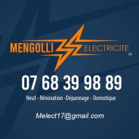 Logo david Mengolli