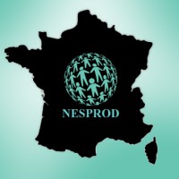 Logo Nesprod