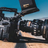 Logo Organic Picture