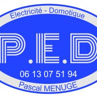 Logo P.e.d.entreprise