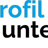 Logo Profilhunter Cabinet De Recrutement Chasseur De Tete