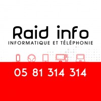 Logo Raid Info Maintenance informatique
