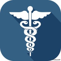 Logo Renard - Chateau