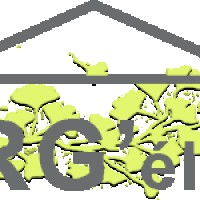 Logo Rg Elec