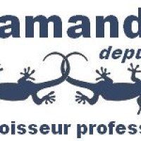Logo Salamandres 