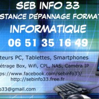 Logo Sebinfo33