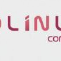 Logo Solinum Consulting