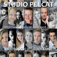 Logo Studio Pelcat