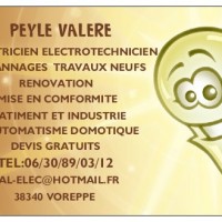 Logo Valere Peyle