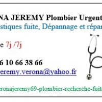 Logo Verona Jeremy Plombier