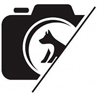Logo Yohann Veiller Photograph