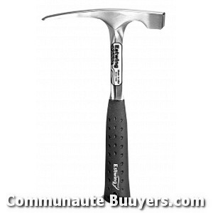 Logo Ramonda Patrice