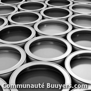 Logo Dick Louis (sarl)