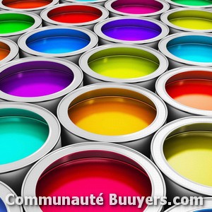 Logo Robbaz Peinture