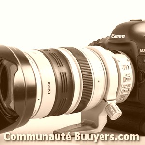 Logo Fabien sans image