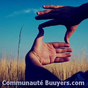 Logo Will To Will Photopro