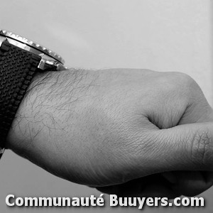 Logo Blanchard S&eacute;batien (technique Design Acier)