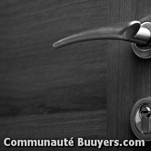 Logo Fichet Point Fort Euro 8 Sécurité Concess.