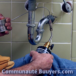 Logo Baron Denis (b.p.c.e)