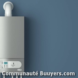 Logo C. Dal Molin Sarl