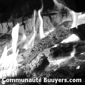 Logo Frisquet Cham - Express Chauffe Eau S.a.v. Agréé