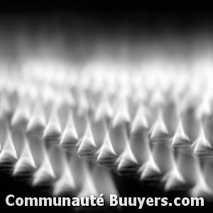 Logo Ideal Standard Artisan Bernard Et Sylvestre Installateur