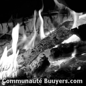 Logo Viessmann Engie Home Services-savelys Sav Agr&eacute;&eacute;