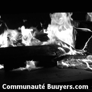 Logo Viessmann Engie Home Services-savelys Sav Agr&eacute;&eacute;