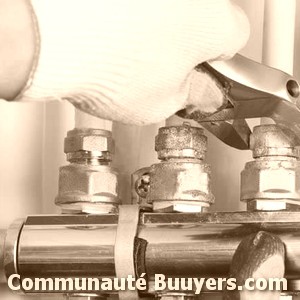 Logo Viessmann Engie Home Services-savelys Sav Agr&eacute;&eacute;