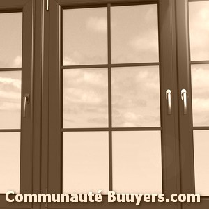 Logo Vitrerie Félines