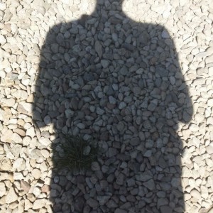 Photo de boulghour