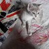 Photo de